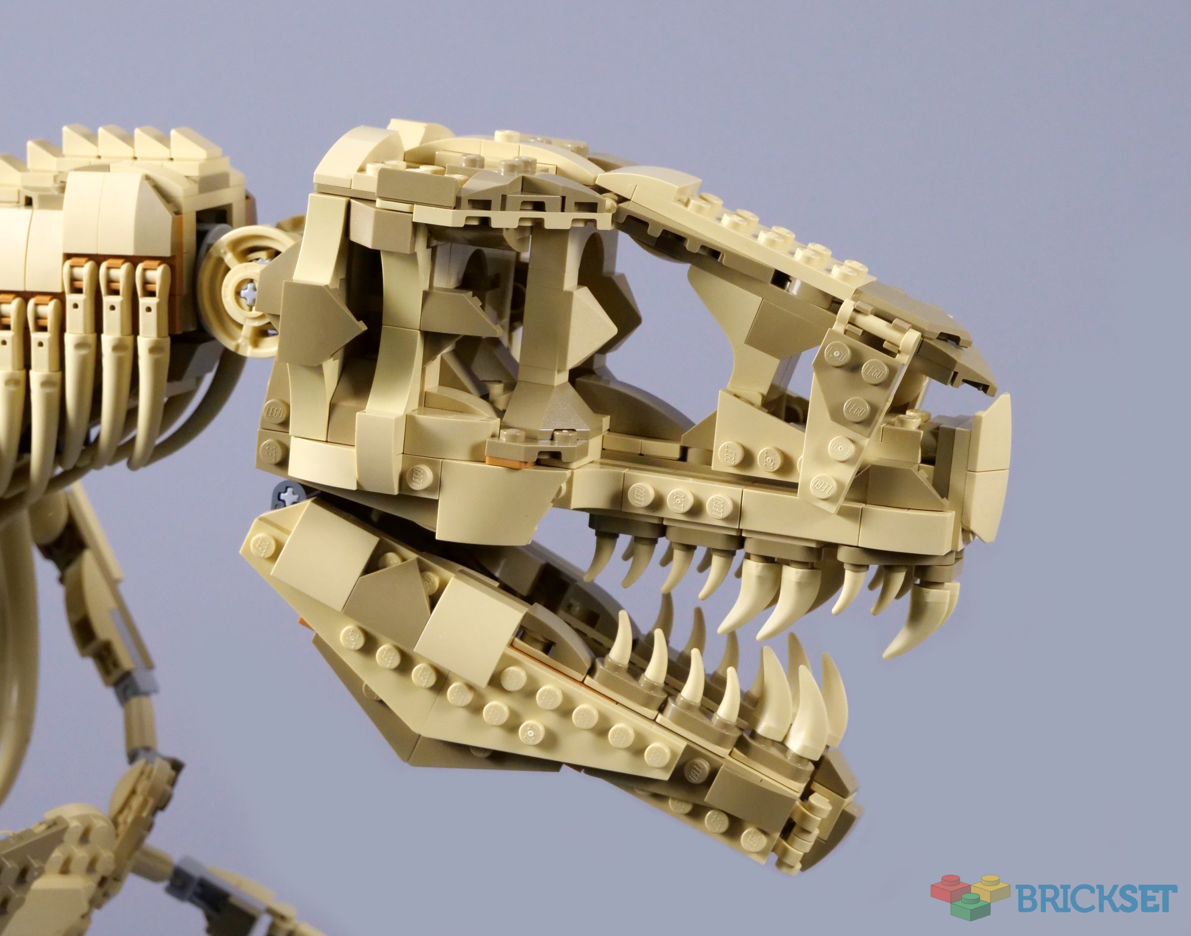 LEGO Jurassic World 76968 Dinosaur Fossils: Tyrannosaurus